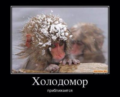 Прикрепленное изображение: 10689930_654344728017263_8992952384536735860_n.jpg